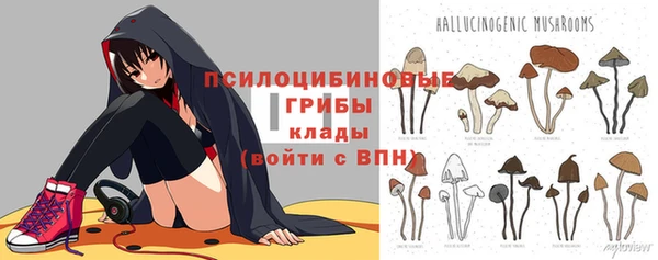МДПВ Алзамай