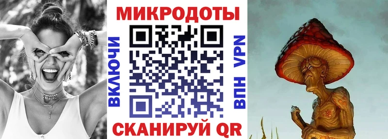 Галлюциногенные грибы Psilocybine cubensis Кольчугино